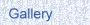 Gallery button