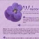 Viola